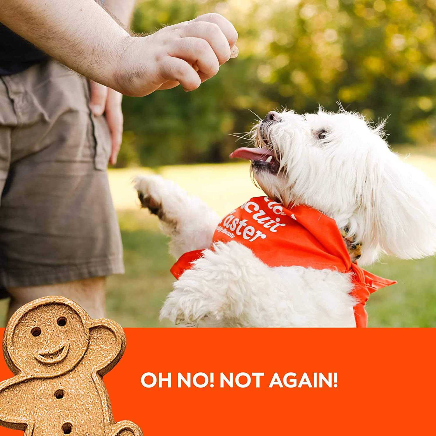 Buddy Biscuits Peanut Butter Soft and Chewy Dog Treats - Nail Gallerys