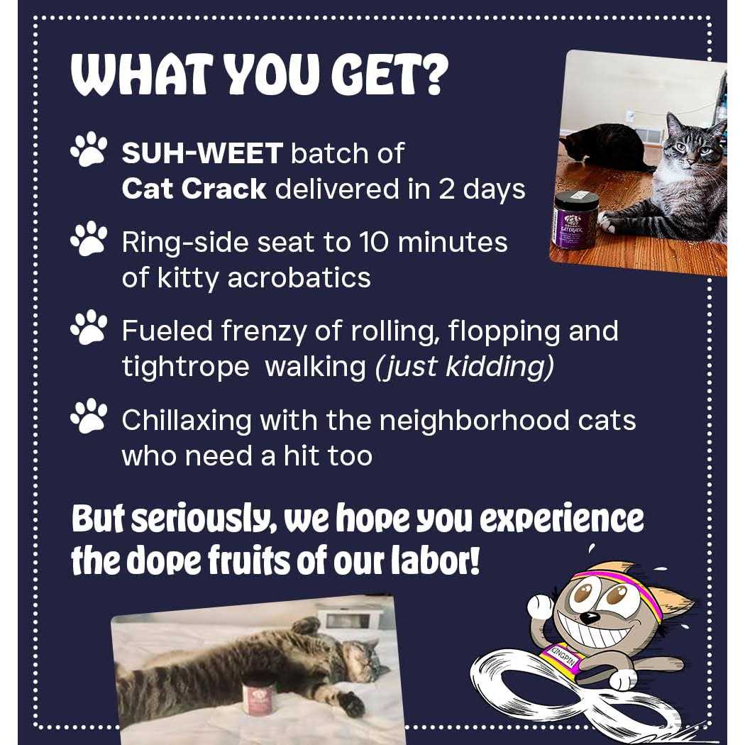 Cat Crack Catnip Blend Cats - Nail Gallerys