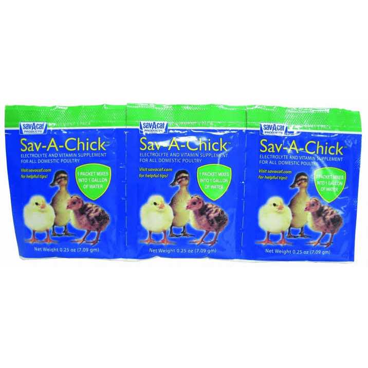 Sav-A-Chick Electrolyte Vitamin Supplement - Nail Gallerys
