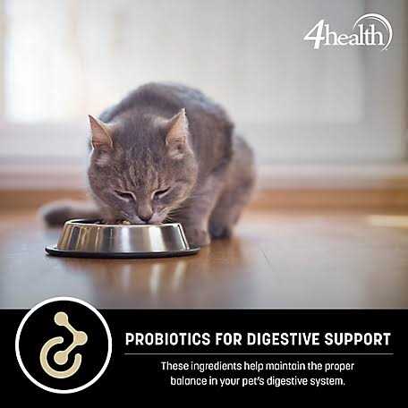 4health Special Care Adult Dry Cat Food Weight Management SKU - Nail Gallerys