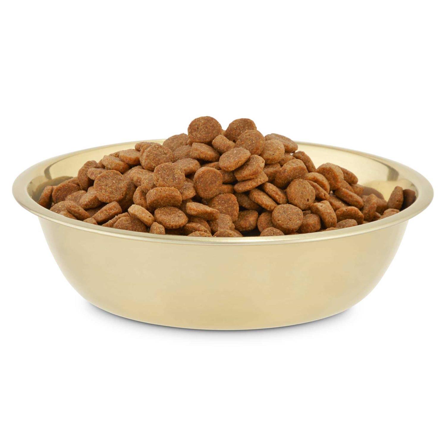 EveryYay Dining in Gold Stainless Steel Dog Bowl - Nail Gallerys