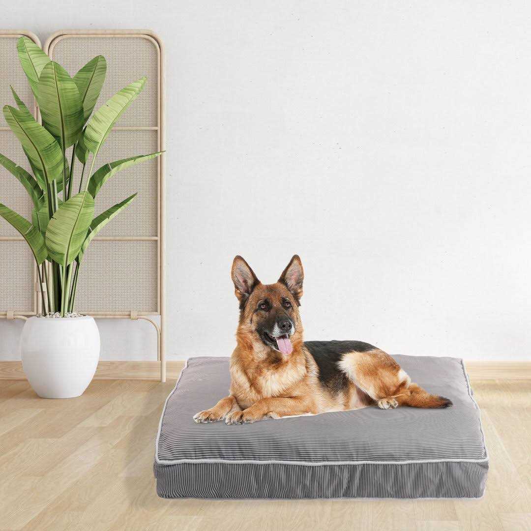 Rae Dunn Orthopedic Pet Bed - Nail Gallerys