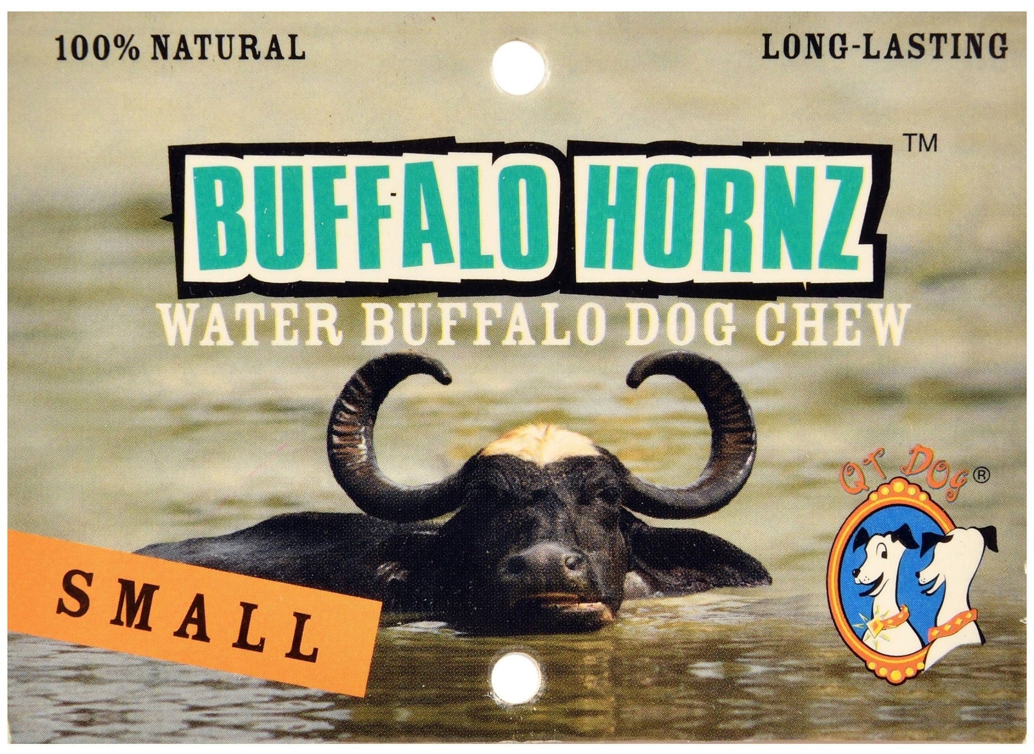Buffalo Hornz - Nail Gallerys