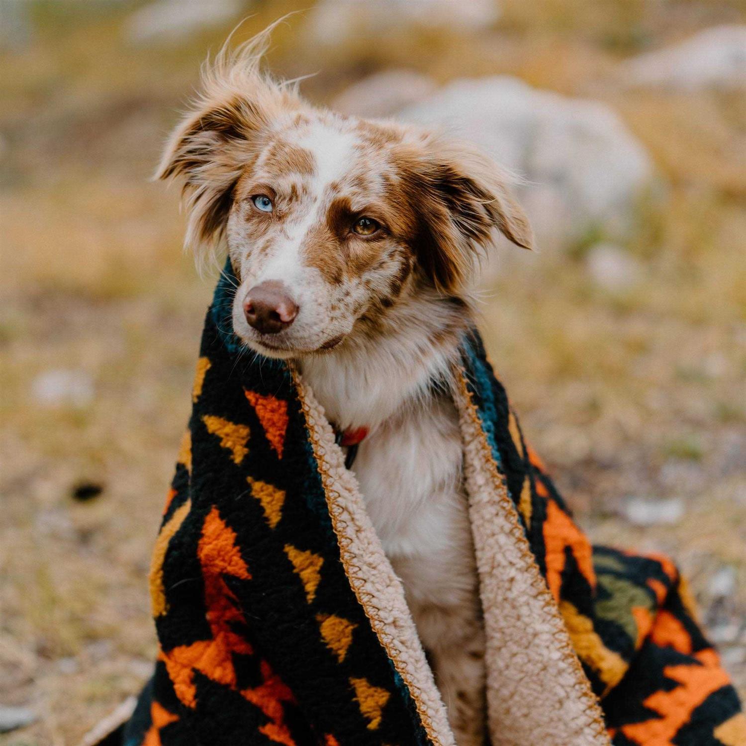 Wilderdog Sherpa Fleece Waterproof Blanket - Nail Gallerys