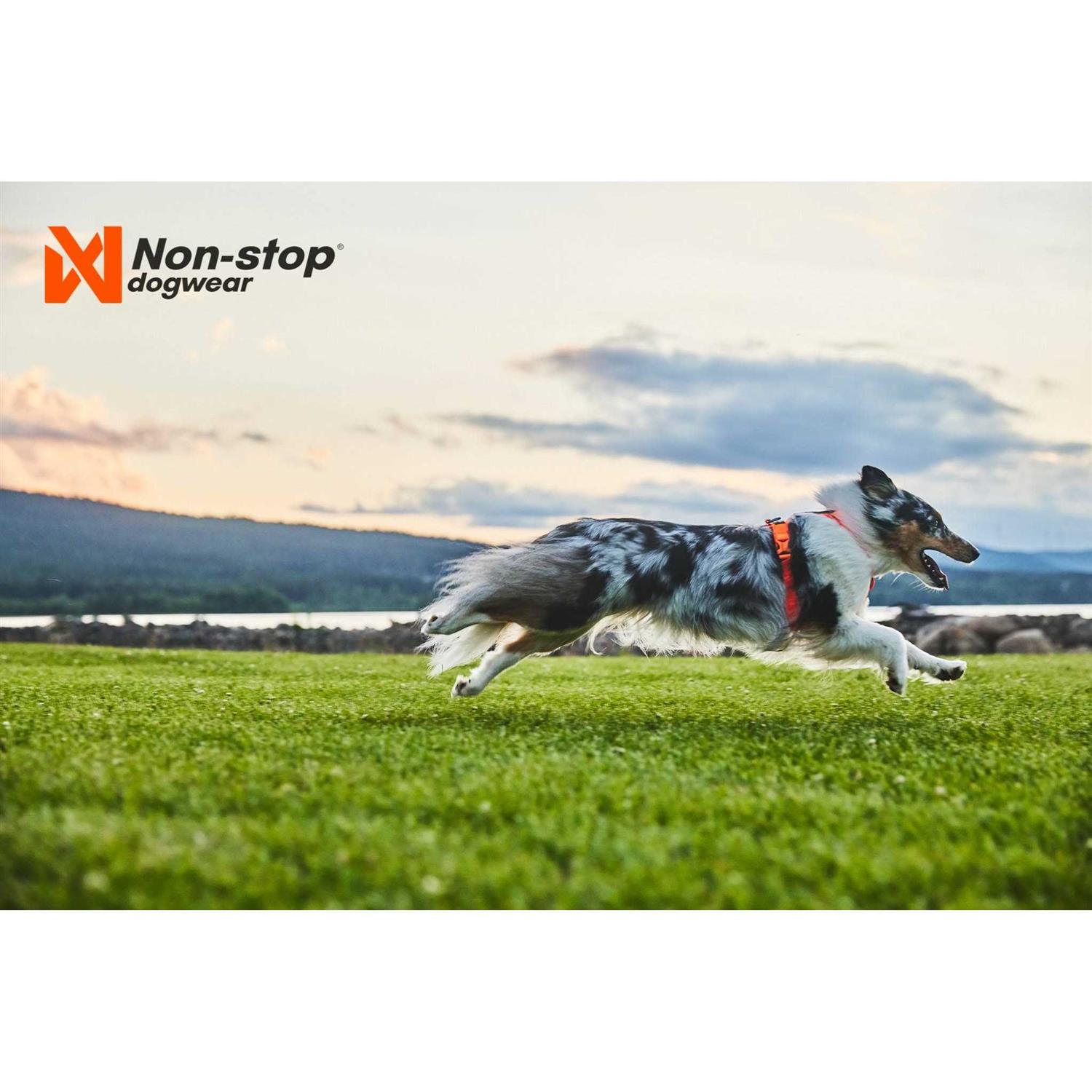 Non-Stop Dogwear Line Harness / Size - Nail Gallerys