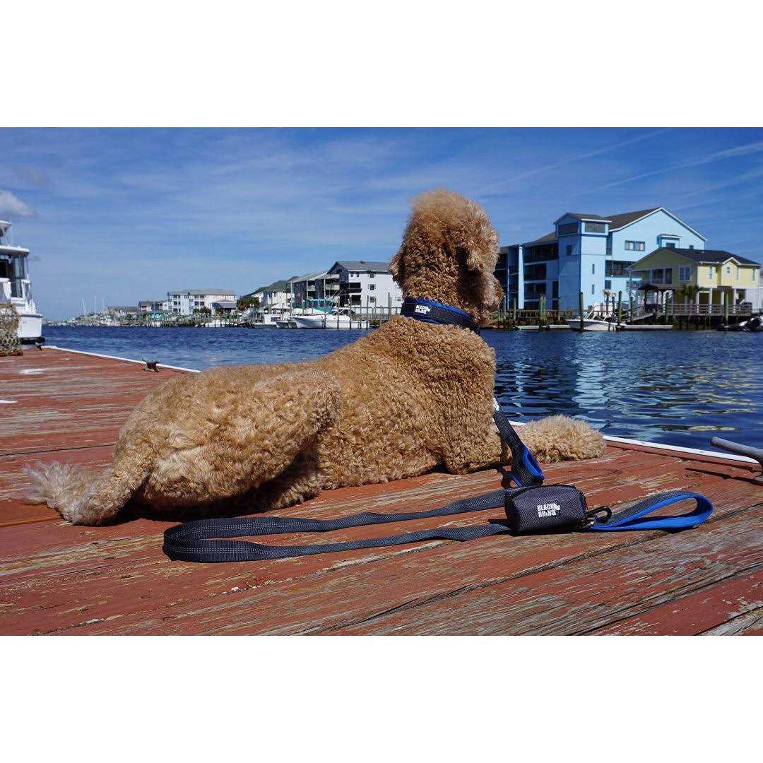 Black Rhino Dog Leash Heavy Duty Medium & Large Dogs Long Leashes - Nail Gallerys