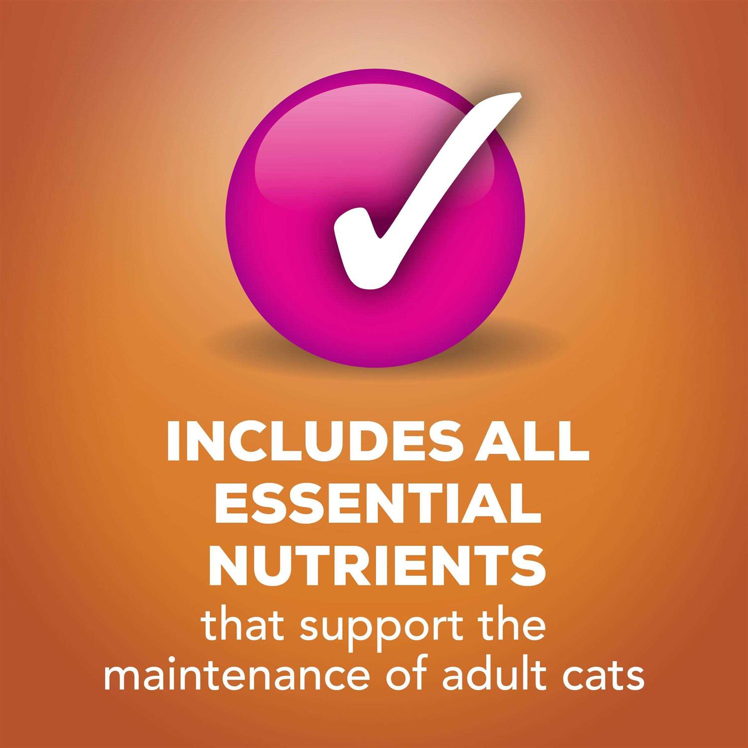 Friskies TurChicken Wet Cat Food Variety Pack - Nail Gallerys