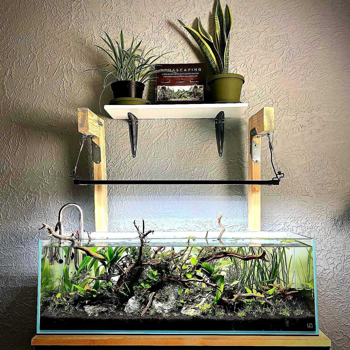 UNS Ultra Clear Rimless Aquarium - Nail Gallerys