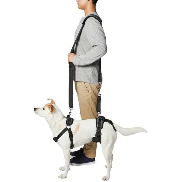Frisco Front Rear Lift Handicapped Support Dog Harness - Nail Gallerys