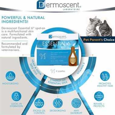 Dermoscent Essential 6 Spot-on Cats - Nail Gallerys