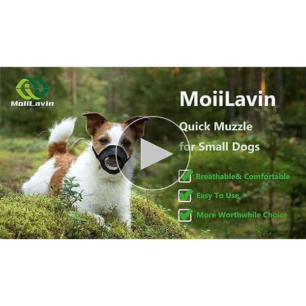 MoiiLavin Dog Muzzle XS Soft Air Mesh for Small Dogs with Long Snout Quick Fit for Grooming Adjustable Prevent from Biting Barking and - Nail Gallerys