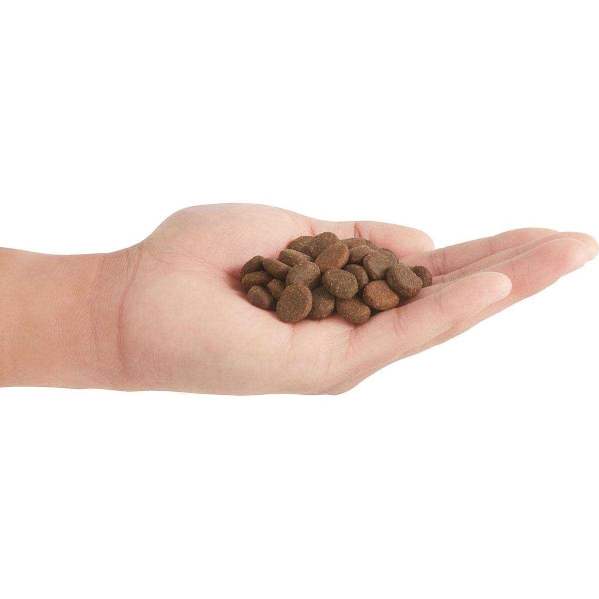 Orijen Regional Red Dry Dog Food - Nail Gallerys