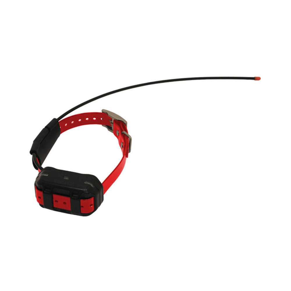 Garmin TB 10 Dog Device - Nail Gallerys