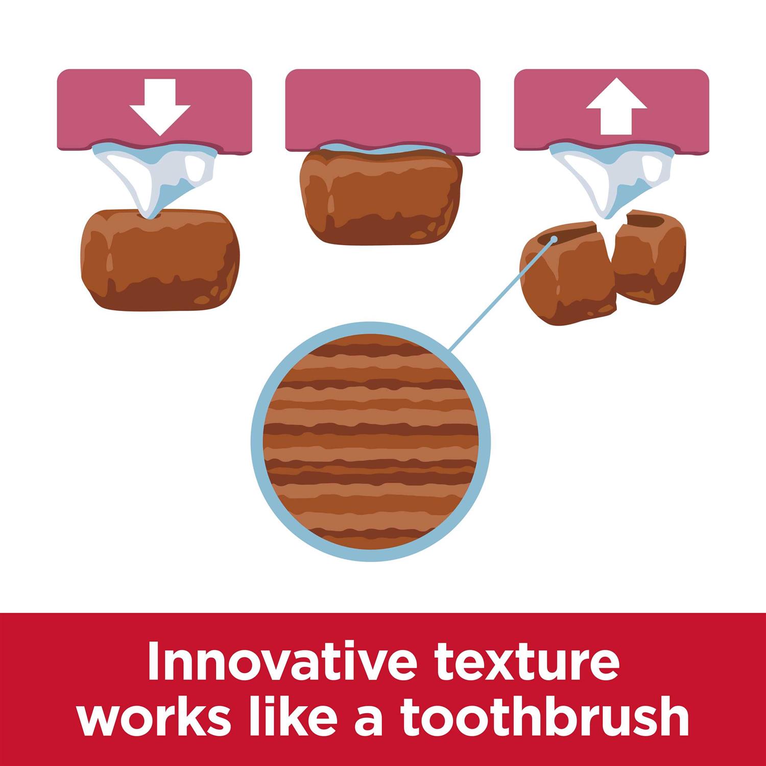 Hill’s Science Diet Adult Oral Care Small & Mini Chicken Recipe Dry Dog Food - Nail Gallerys