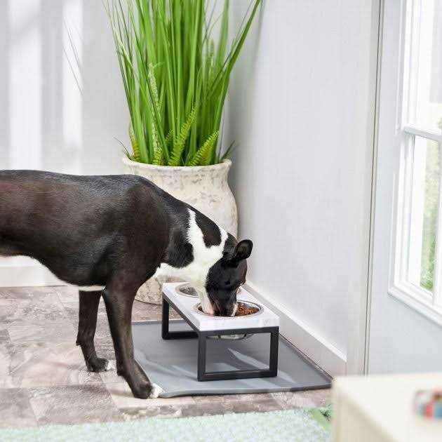 Frisco Marble Print Stainless Steel Double Elevated Dog Bowl - Nail Gallerys