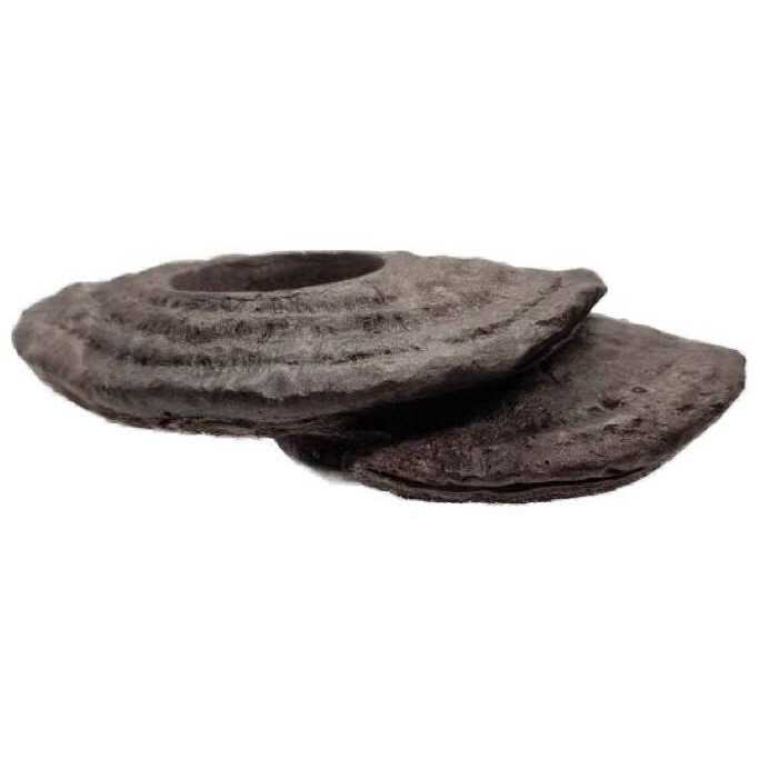 Zoo Med Arboreal Feeding Platform - Nail Gallerys