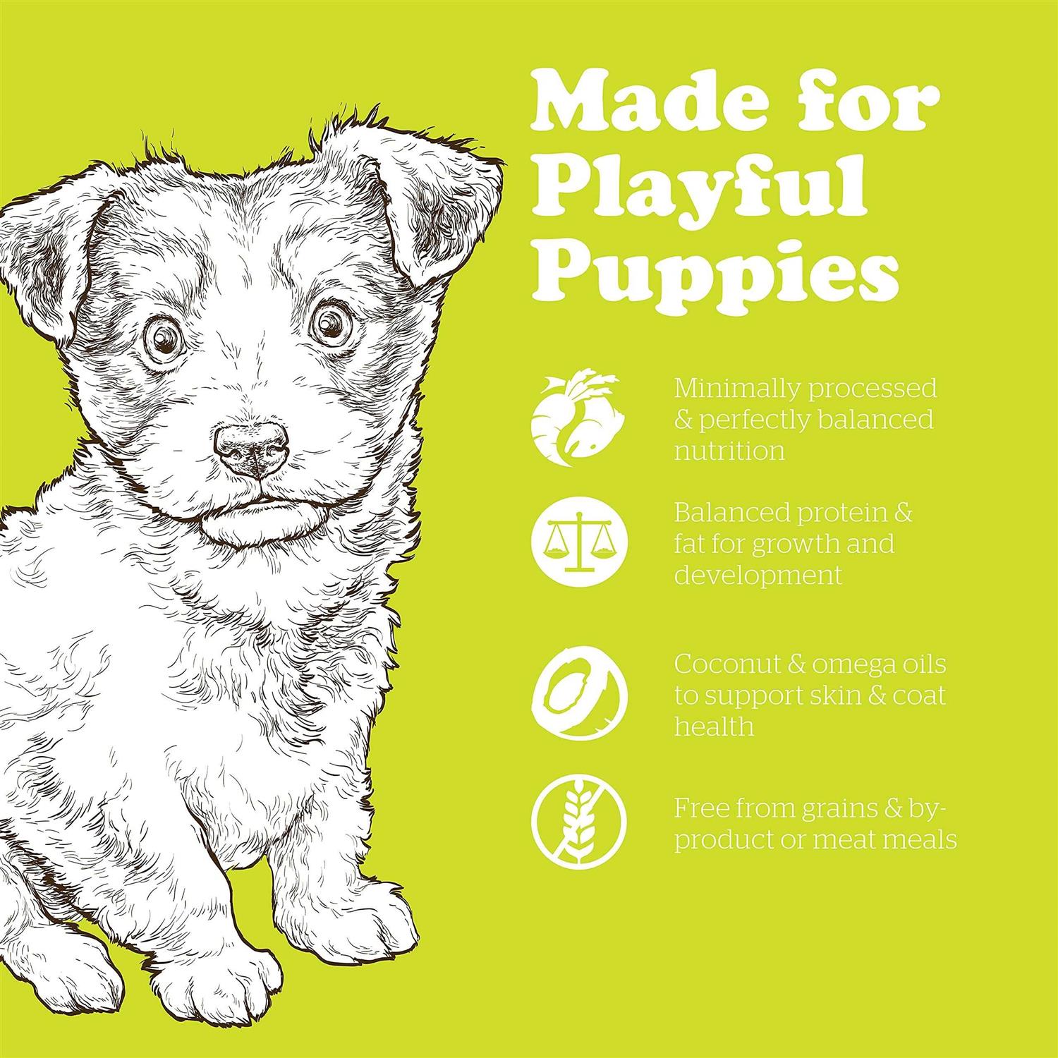 Petcurean Now Fresh Grain-Free Small Breed Puppy Recipe Dry Dog Food - Nail Gallerys