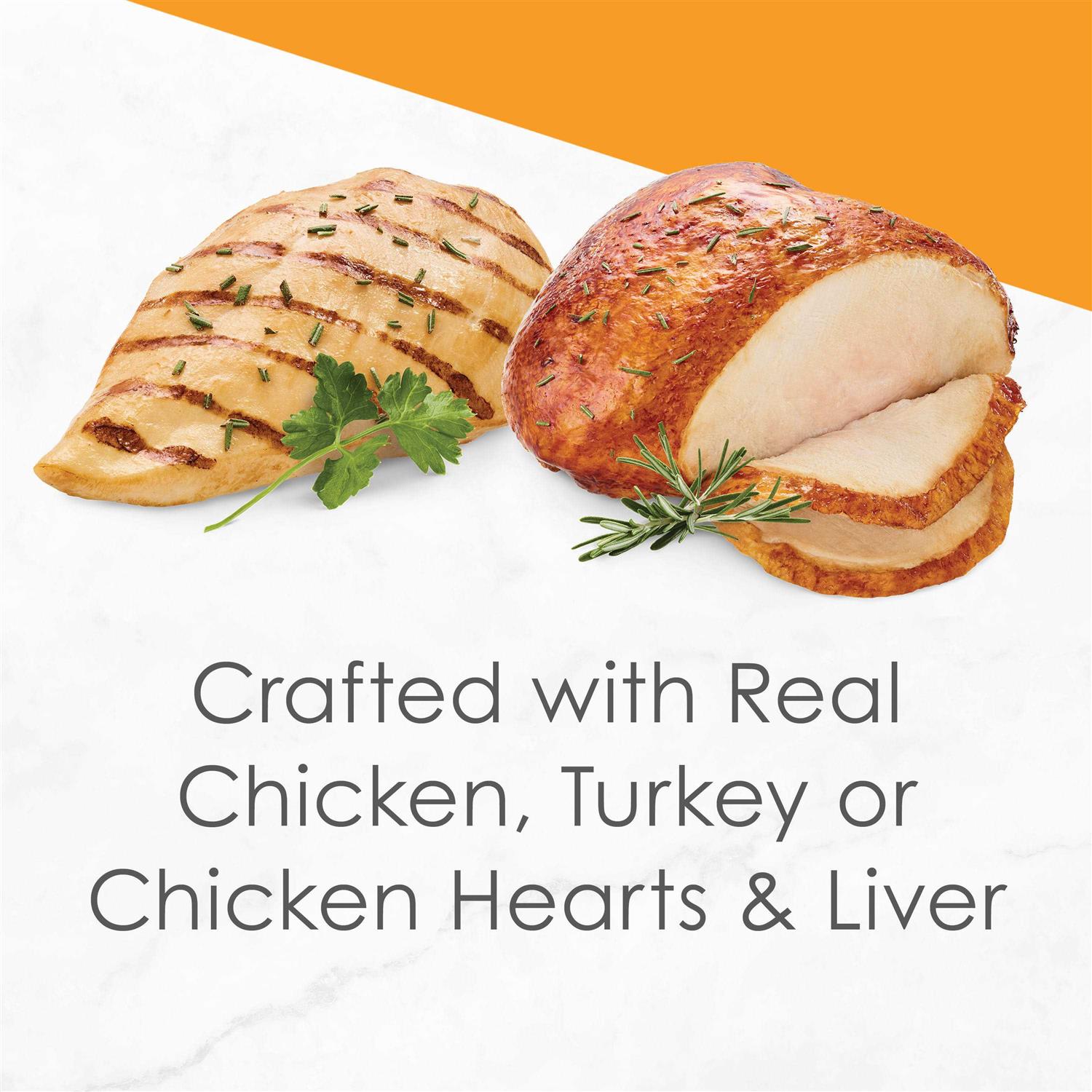 Purina Fancy Feast Gravy Wet Cat Food Variety Pack Poultry Lovers Sliced Collection - Nail Gallerys