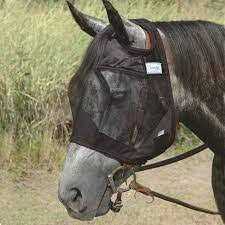 Durasole 4oz - Nail Gallerys