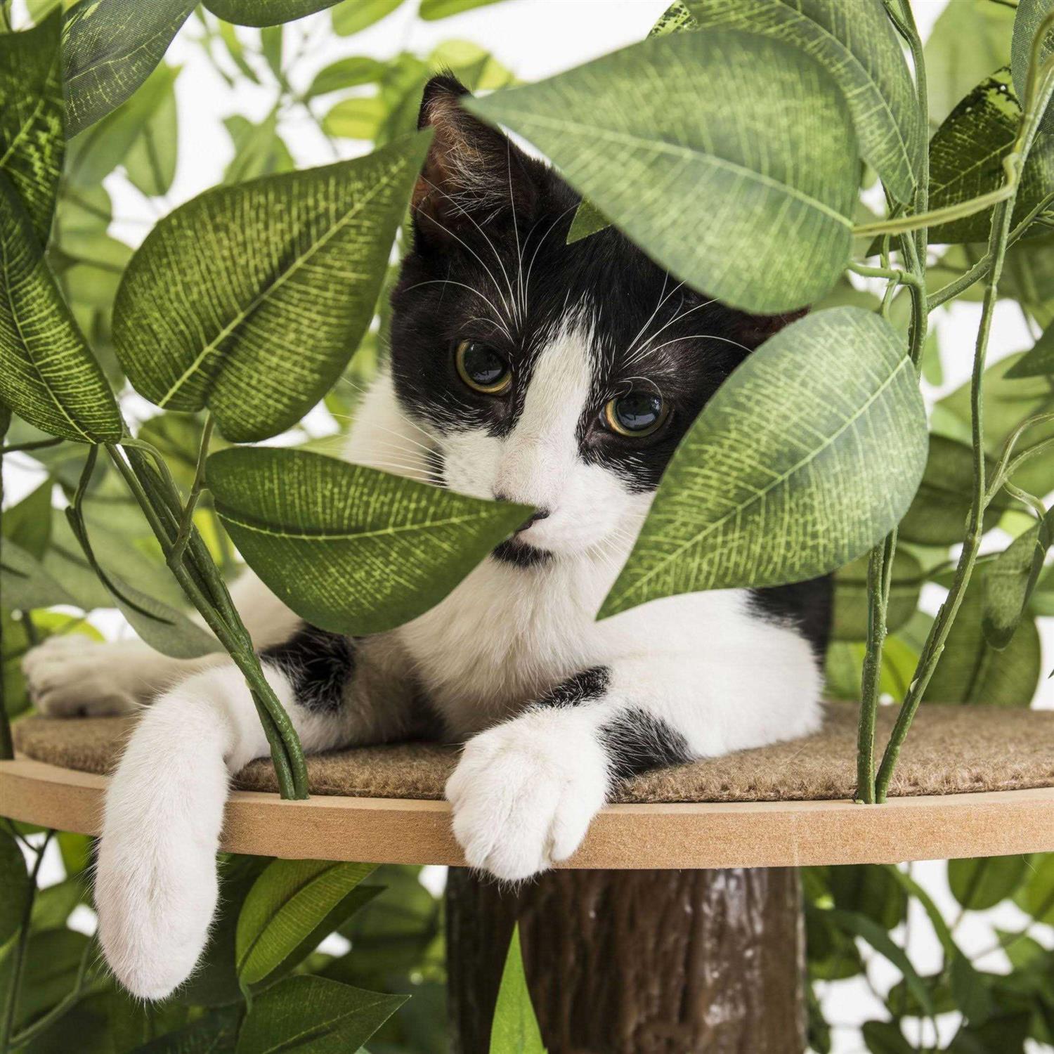 On2 Pets 4ft Interchangeable Leaves Cat Activity Tree Indoor Cat Tower - Nail Gallerys