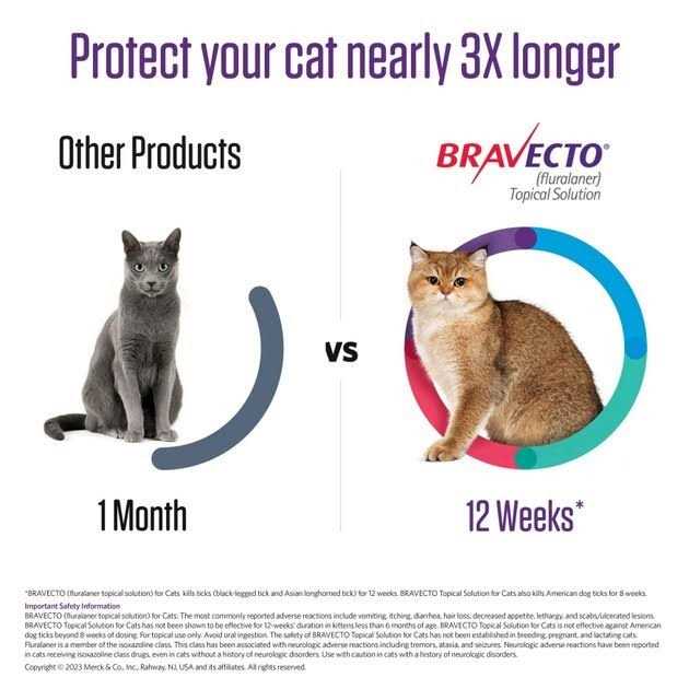 6.2-13.8 lbs Bravecto Topical Solution for Cats - Nail Gallerys