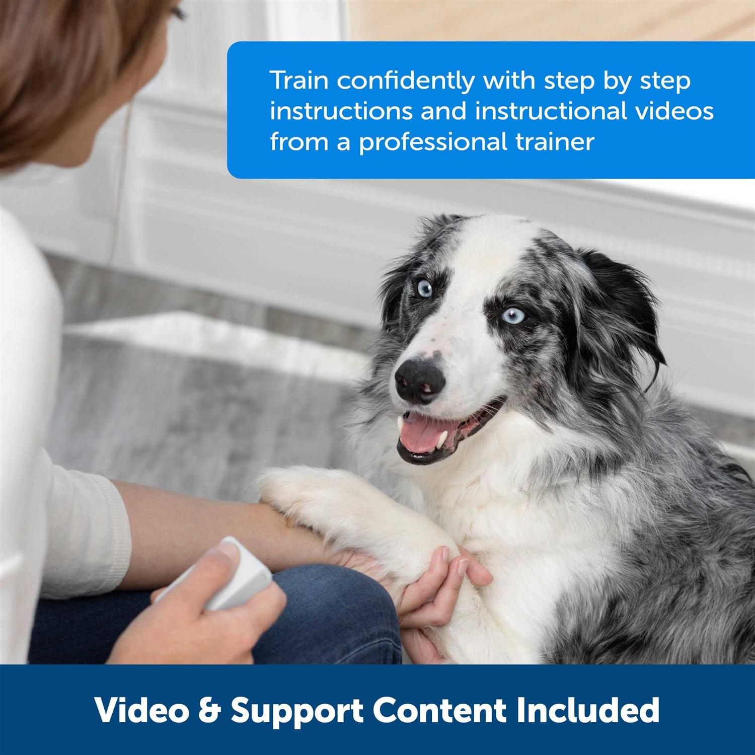 PetSafe Teach & Treat Remote Reward Trainer - Nail Gallerys