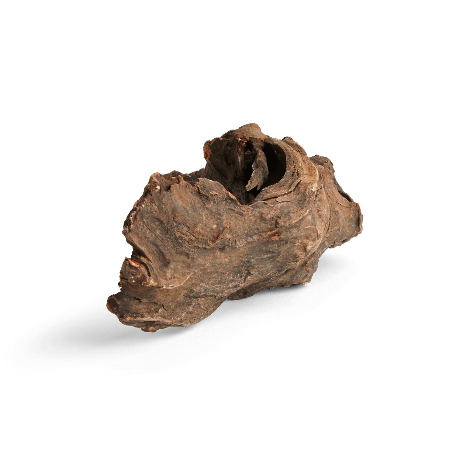 Imagitarium Driftwood - Nail Gallerys