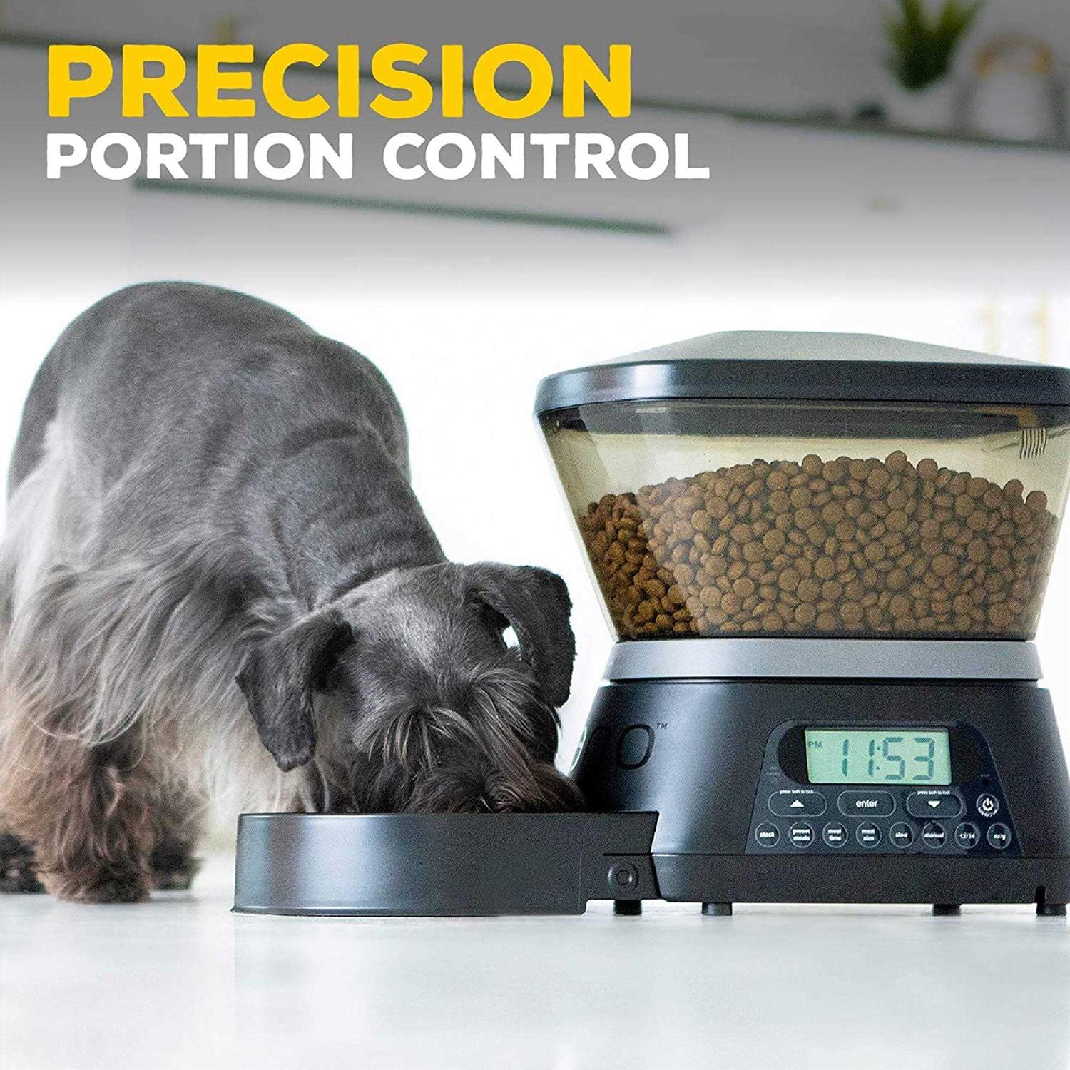 Gamma2 Nano Programable Automatic Pet Feeder - Nail Gallerys