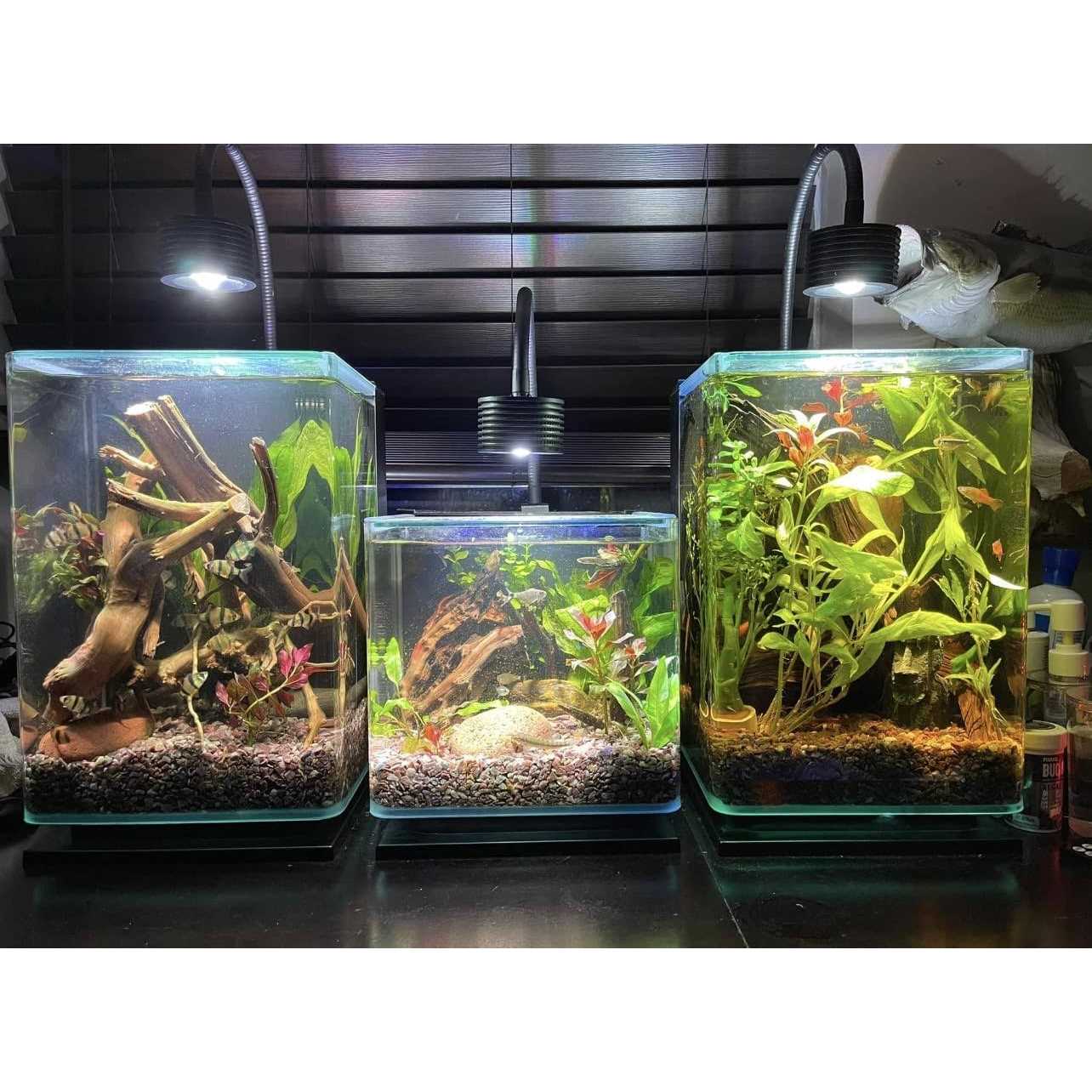 Lominie LED Aquarium Light Planted Tank Light 4 Channels Remote Control 6500k Aquarium LED Light for Freshwater Fish Tank Refugium with Gooseneck - Nail Gallerys