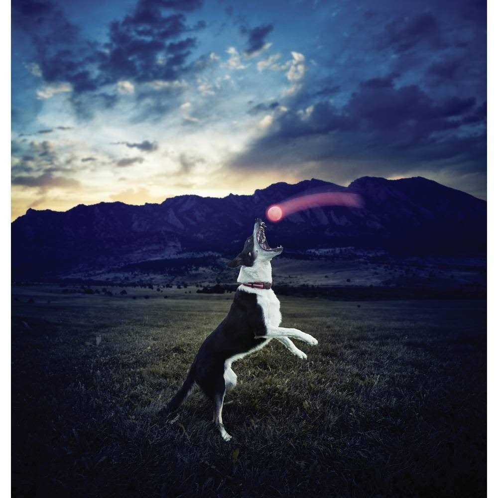 NITE IZE GLOWSTREAK LED BALL - Nail Gallerys