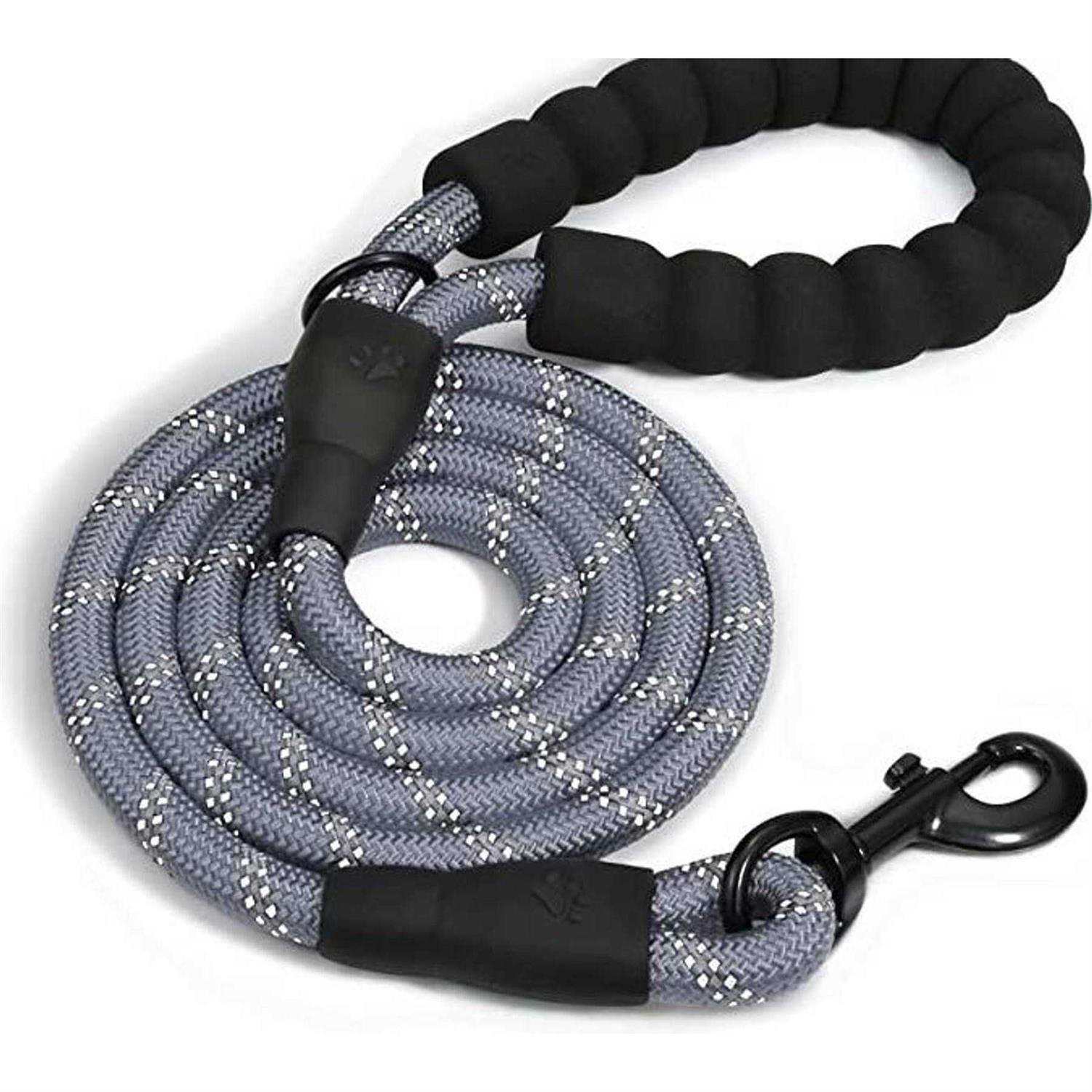 Doggy Tales Braided Dog Leash - Nail Gallerys
