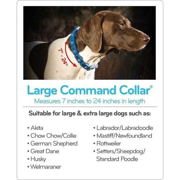 The Perfect Dog Command Training Dog Collar, Medium/Large - Nail Gallerys