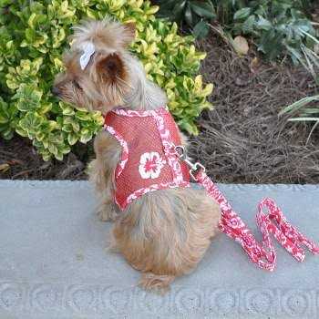 Doggie Design Cool Mesh Dog Harness with Leash - Nail Gallerys