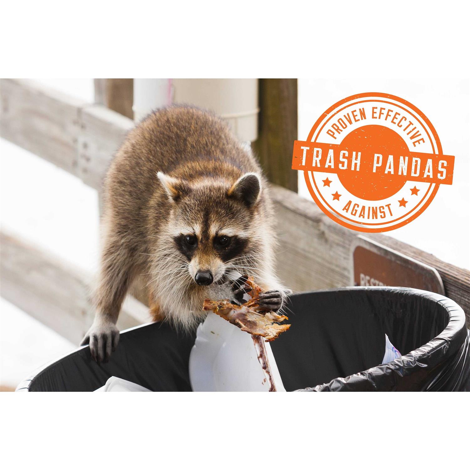 Zone Protects No Holes! Digging Dog Prevention Concentrate Bundle - Nail Gallerys