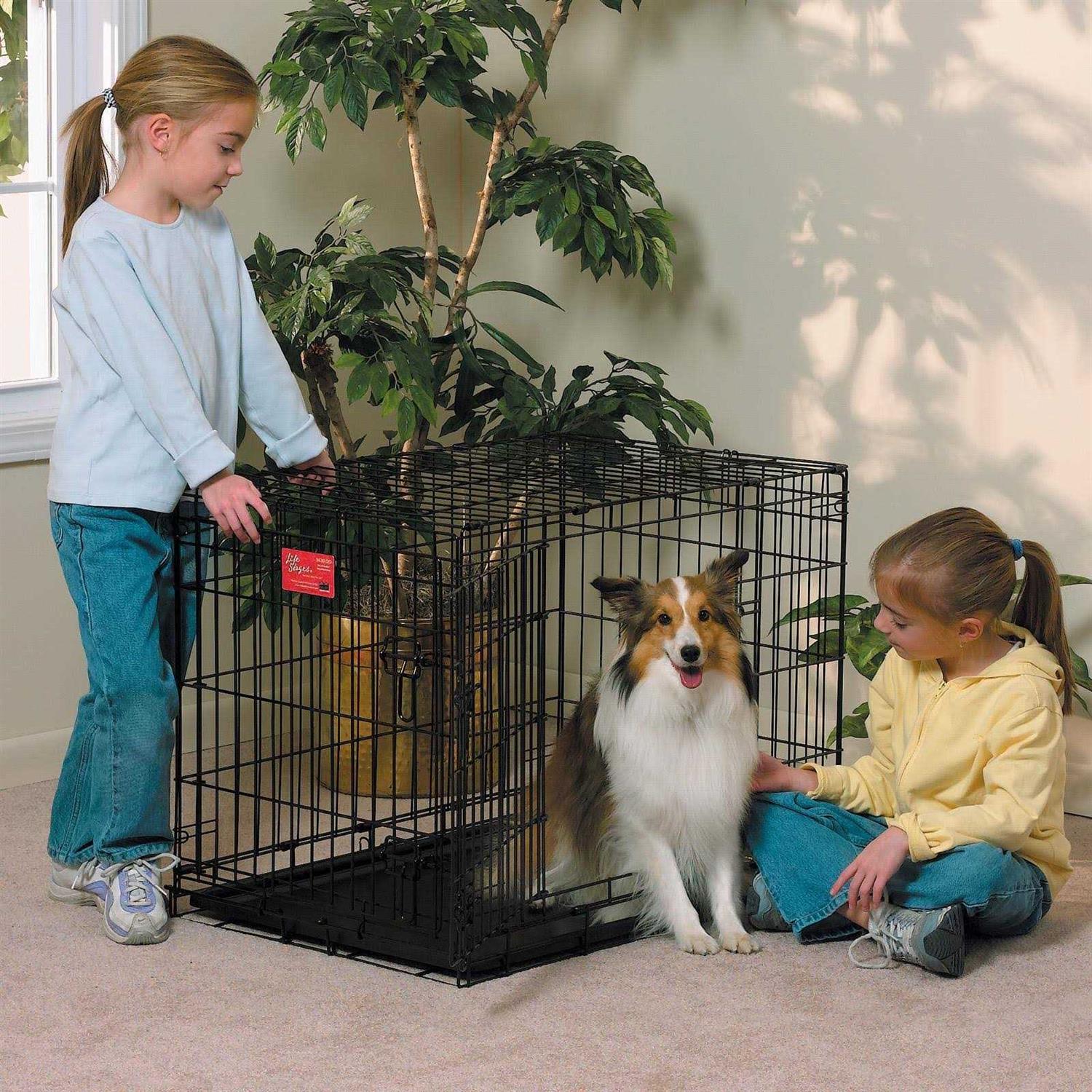 Midwest Life Stages Double Door Dog Crate - Nail Gallerys