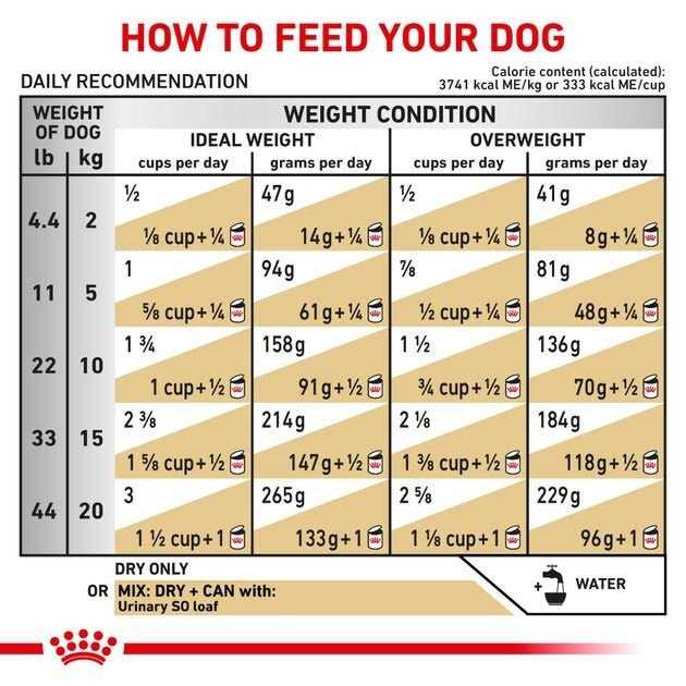 Royal Canin Veterinary Diet Canine Urinary SO Dry Dog Food - Nail Gallerys