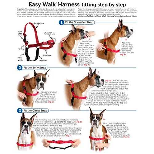 PetSafe Easy Walk Dog Harness - Nail Gallerys
