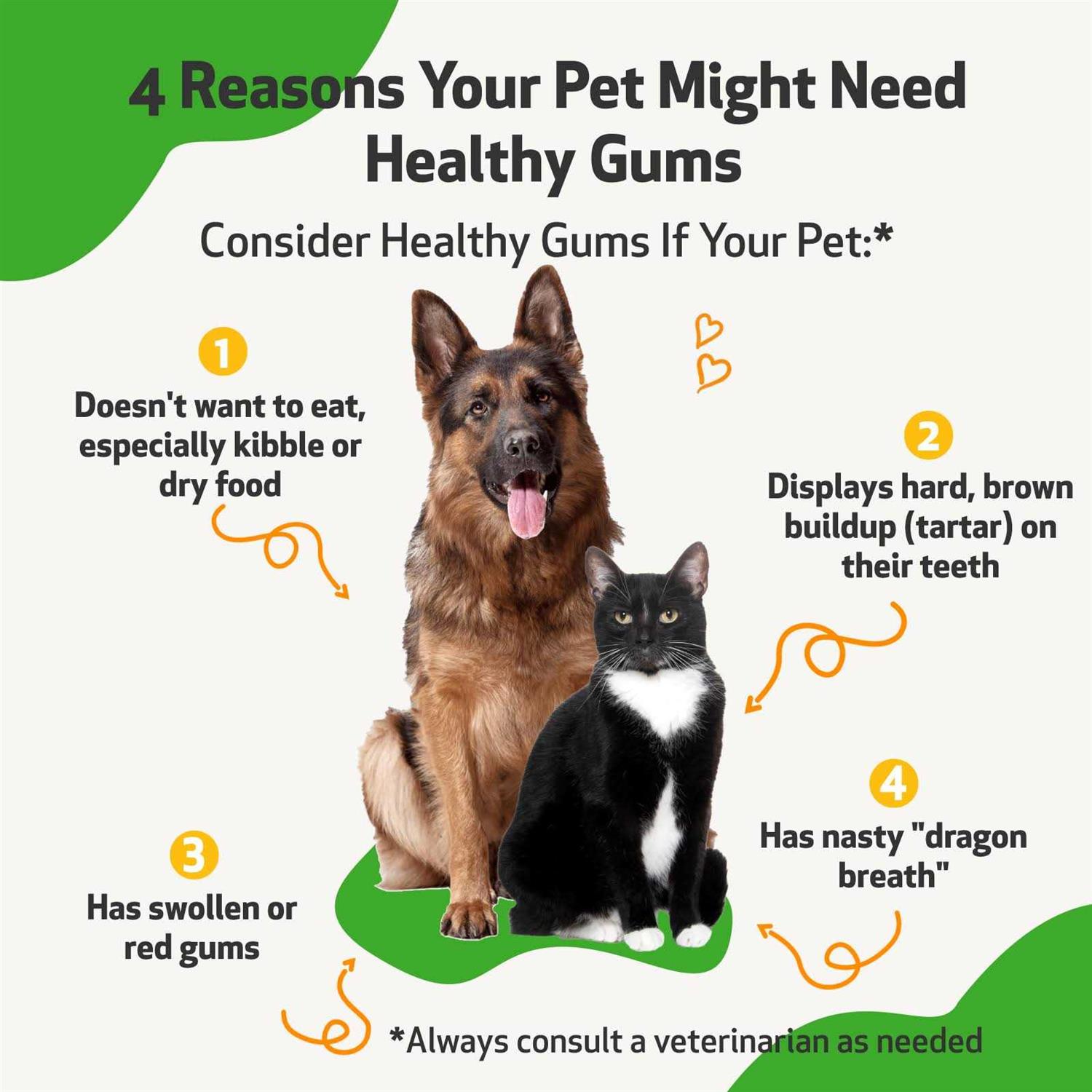Pet Wellbeing Healthy Gums for Feline Periodontal Health - Nail Gallerys