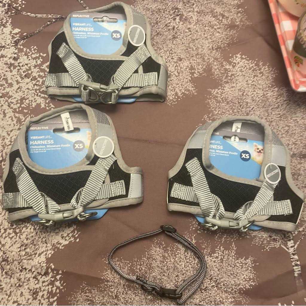 Vibrant Life Dog Harness - Nail Gallerys