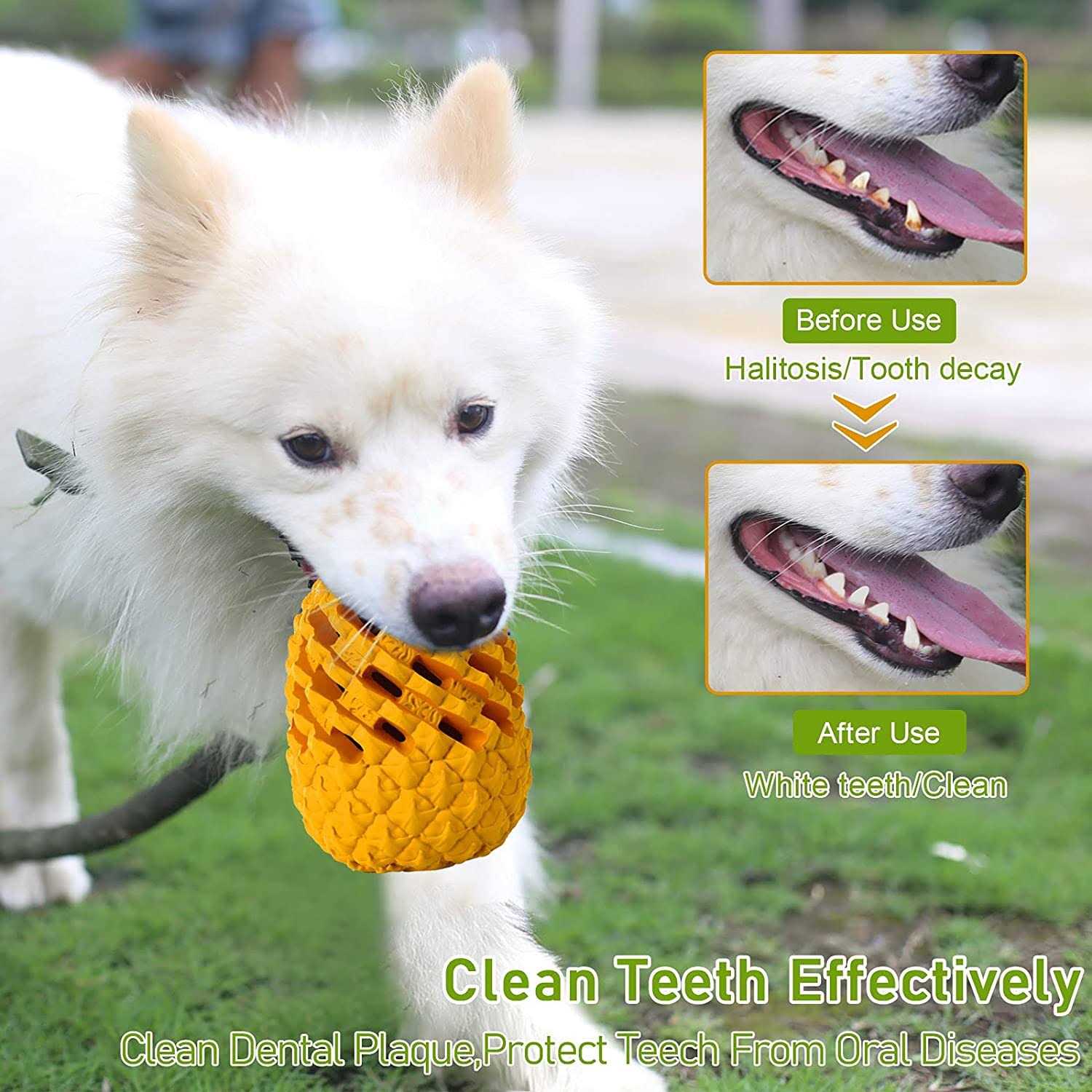 M.C.works Dog Chew Toys for Aggressive Chewer Tough Dog Dental Chews Toy - Nail Gallerys