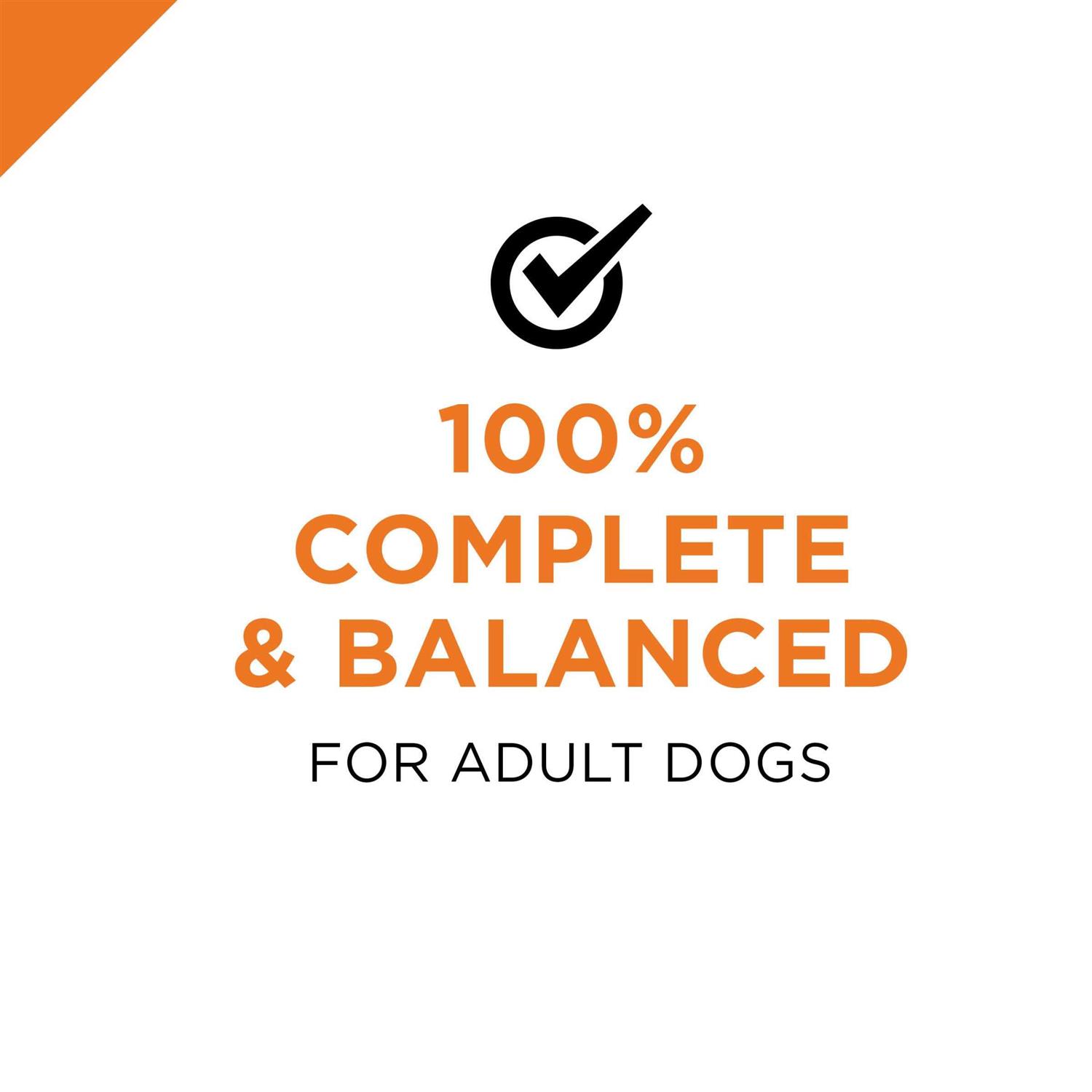 Purina Pro Plan Free Beef Entree Wet Dog Food - Nail Gallerys