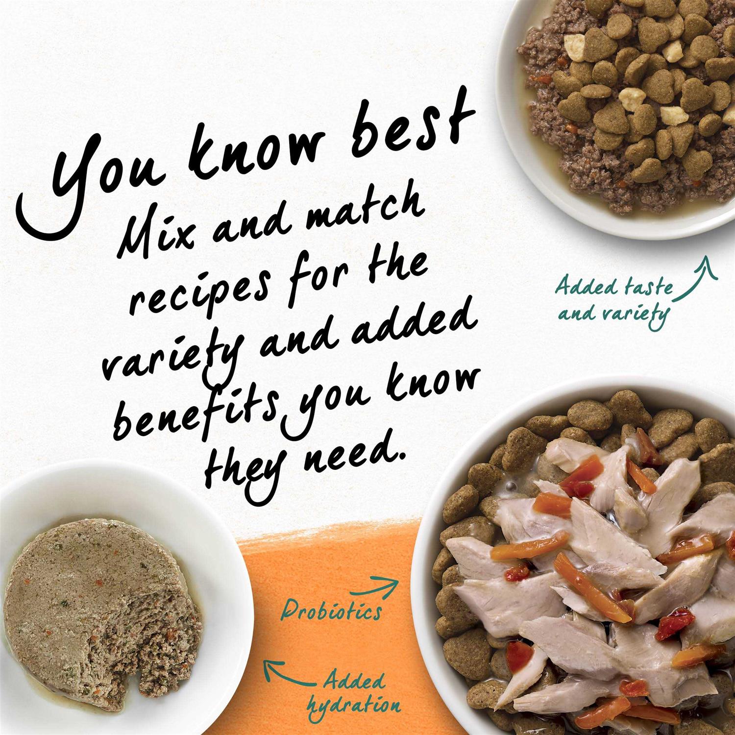 Purina Beyond Grain Free White Meat Chicken & Egg Recipe Natural Dry Cat Food - Nail Gallerys