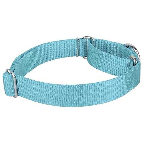 Country Brook Petz Martingale Nylon Dog Collar - Nail Gallerys