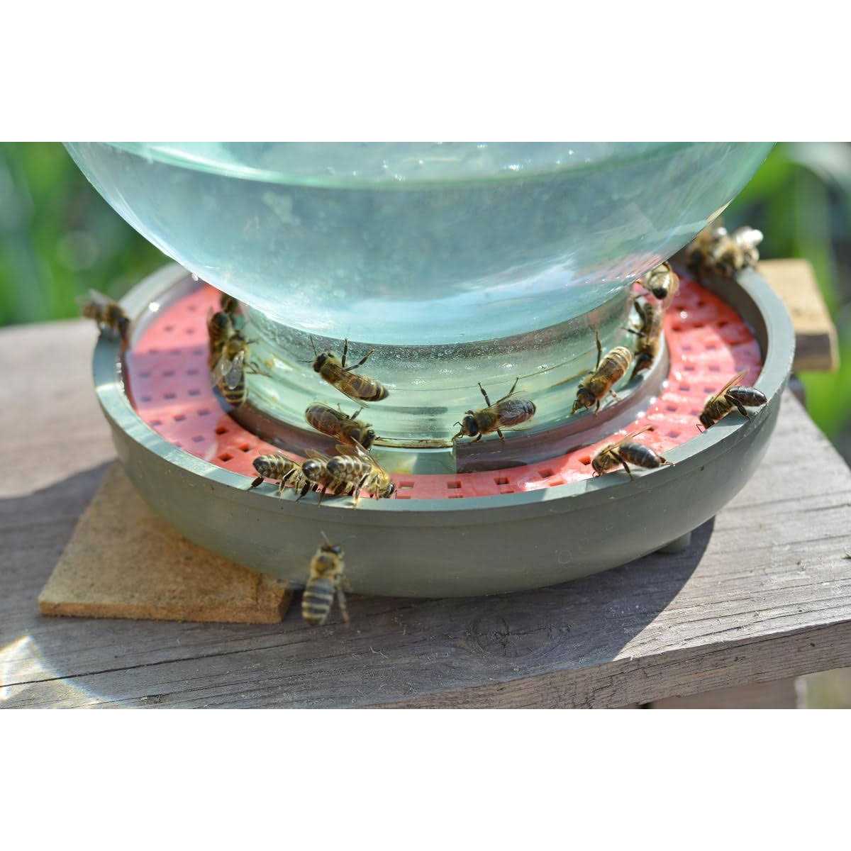 ZAVHOZ Bees Feeding Bowl Bee Feeder Hive Water Drinker Sugar Syrup Drinking Dispenser Tool Plastic Mesh Dish Beehive Apiary Accessory Beekeeping - Nail Gallerys