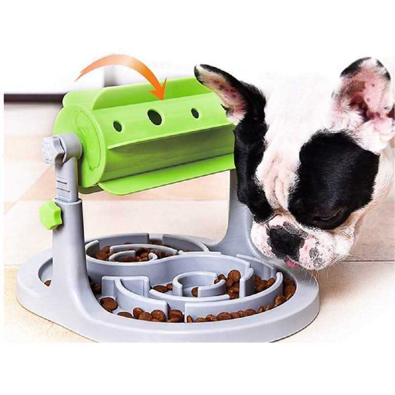 Interactive Dog & Cat Food Puzzle Toy Ito Rocky Treat Boredom Dispensing Slow Feeder - Nail Gallerys