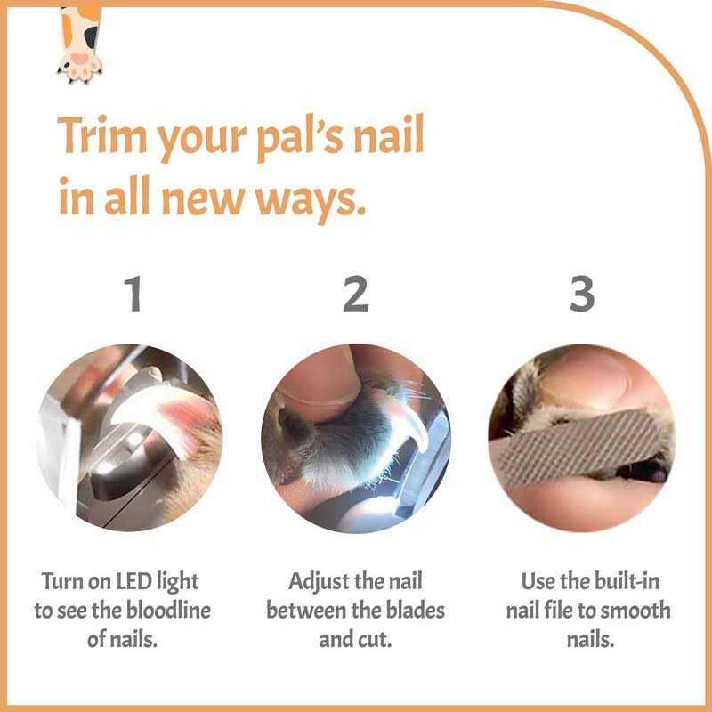 Pawsibility Reinvented Pet Nail Clippers for Your Pal Ultra Bright LED Light for Bloodline - Nail Gallerys