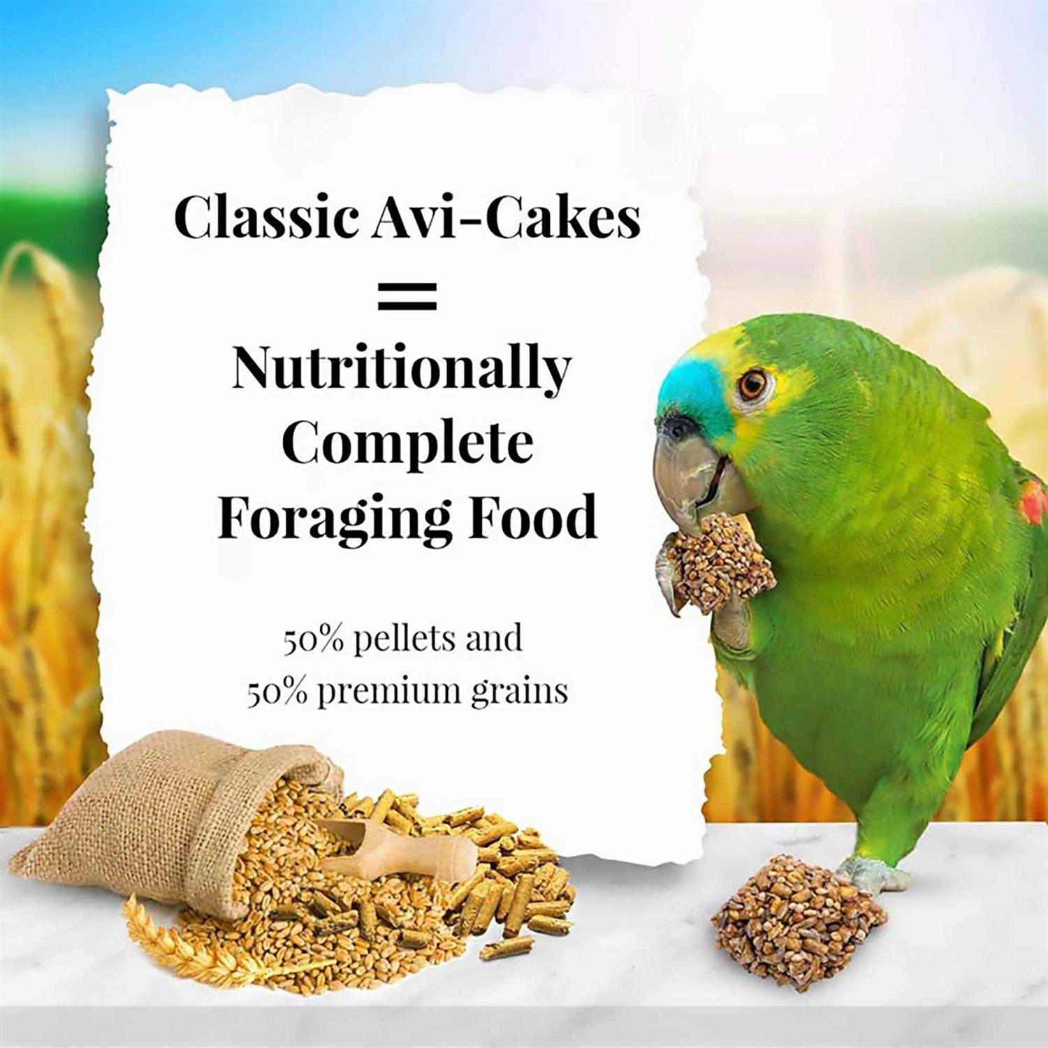 Lafeber Classic Avi-Cakes Parrot Food - Nail Gallerys