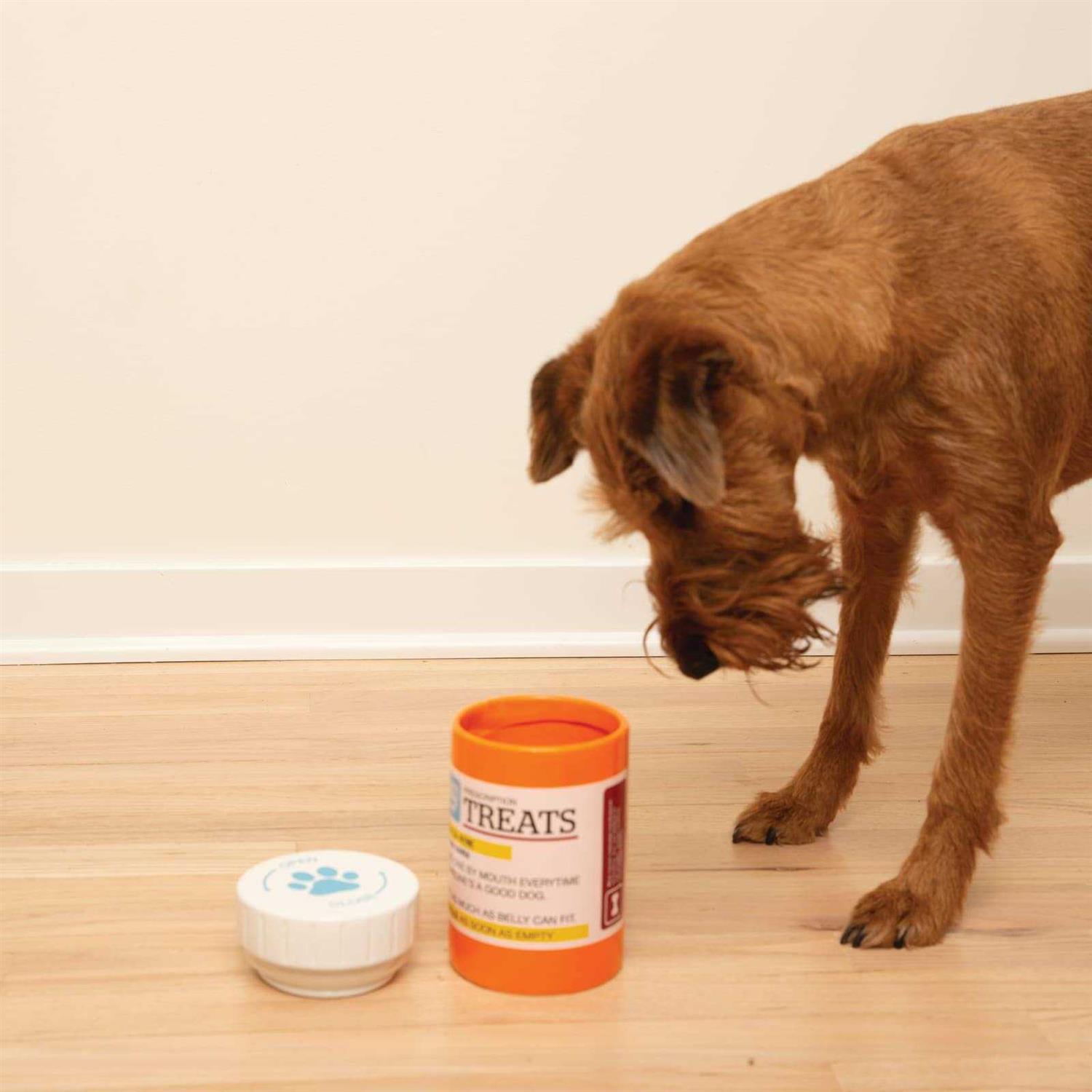 Bigmouth Inc Prescription Treat Jar - Nail Gallerys