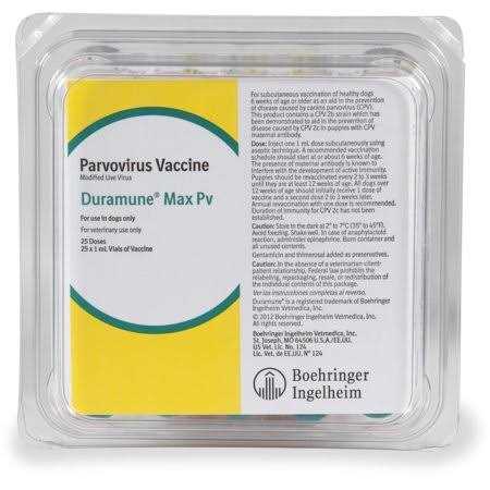 Rep Cal Phosphorus Free Calcium with Vitamin D3 - Nail Gallerys