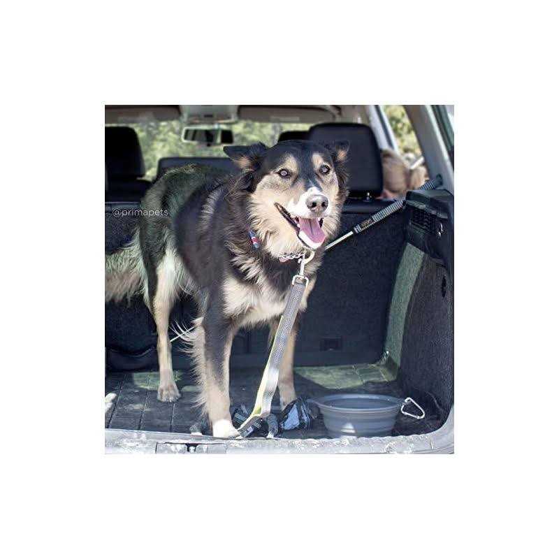 Prima Pets Prima Collapsible Silicone Water Travel Bowl with Clip Dog and Cat - Nail Gallerys